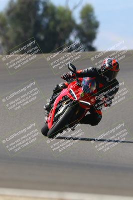 media/Sep-21-2025-TrackDaz (Sun) [[277c75b276]]/C Group/1240pm (Turn 2)/